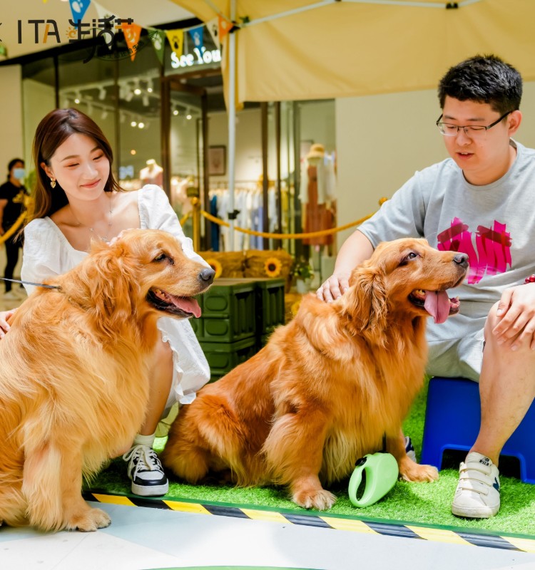萬千美好  甜蜜薈萃